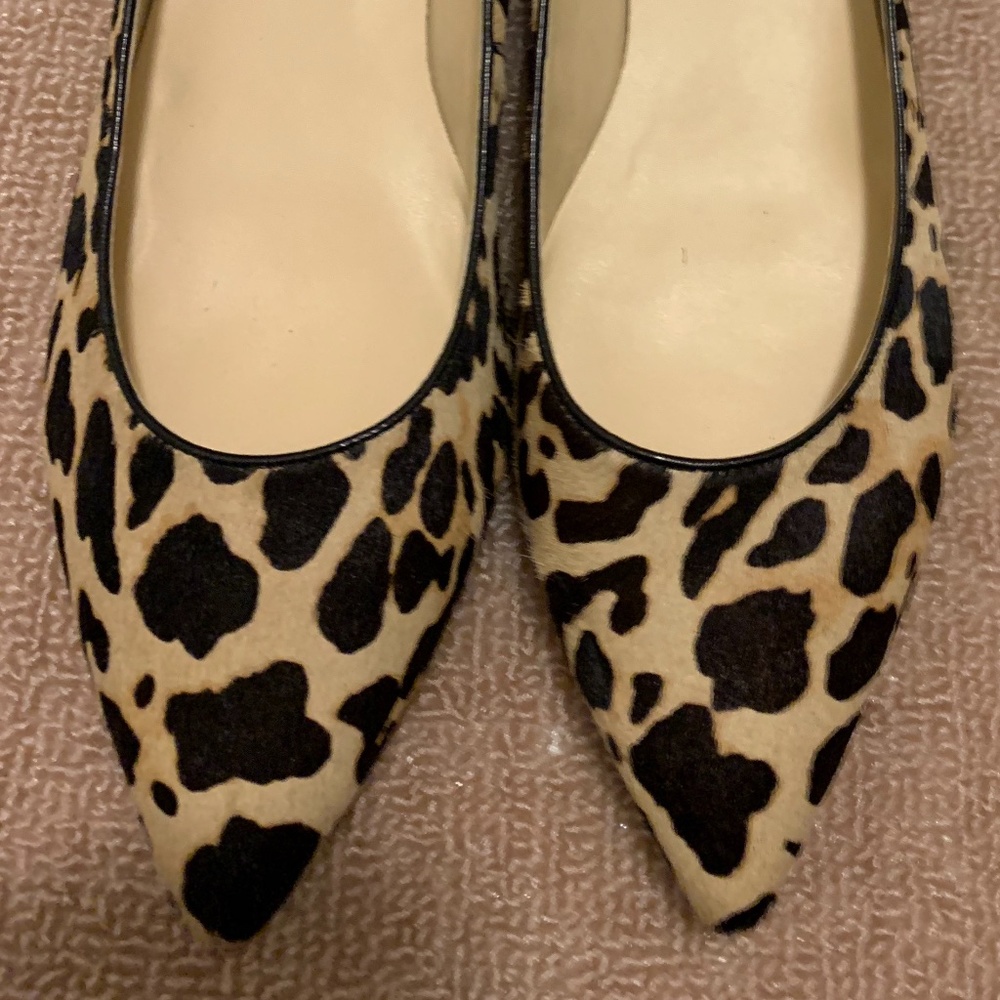 Ivanka Trump Flats